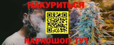 spice Балашиха