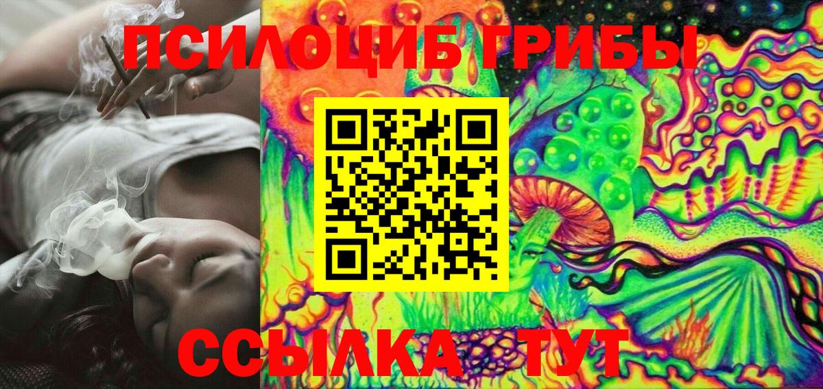 Псилоцибиновые грибы Psilocybine cubensis  Вход с VPN  Гагарин 